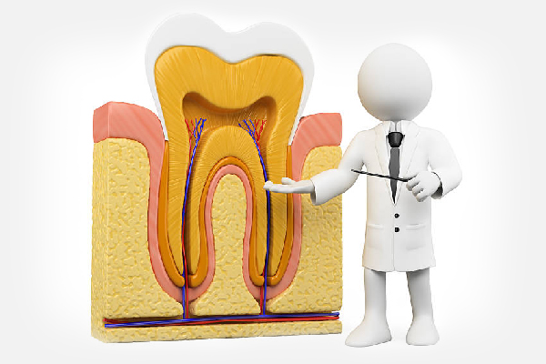 endodonzia